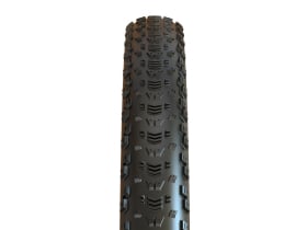 MAXXIS Reifen Aspen 32 x 2,4 WT MaxxSpeed TR EXO